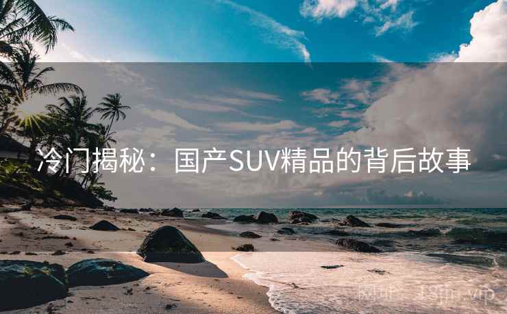 冷门揭秘:国产SUV精品的背后故事 第1张 冷门揭秘:国产SUV精品的背后故事 第1张