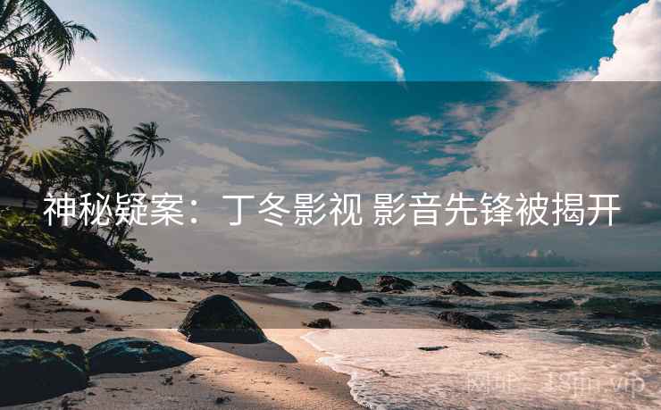 神秘疑案：丁冬影视 影音先锋被揭开  第2张