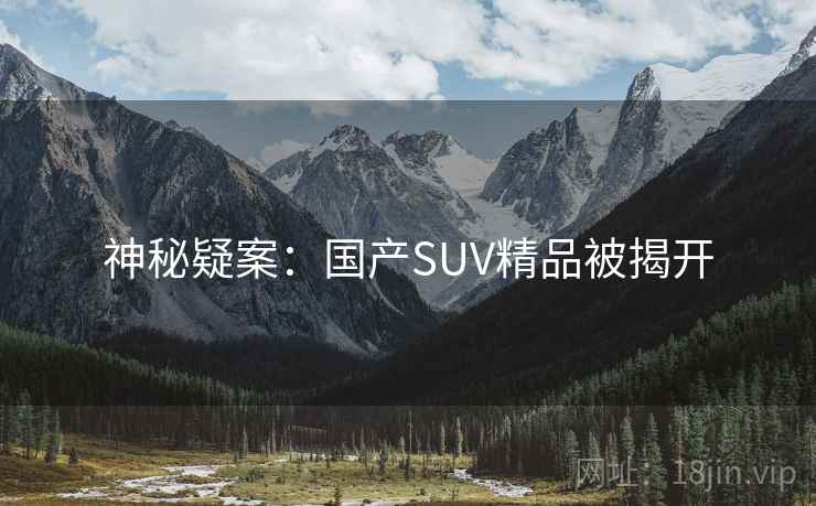 神秘疑案：国产SUV精品被揭开  第2张