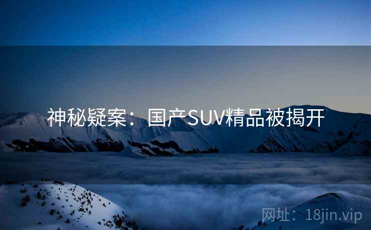 神秘疑案：国产SUV精品被揭开